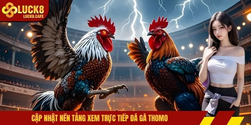 Cập nhật nền tảng xem trực tiếp đá gà Thomo
