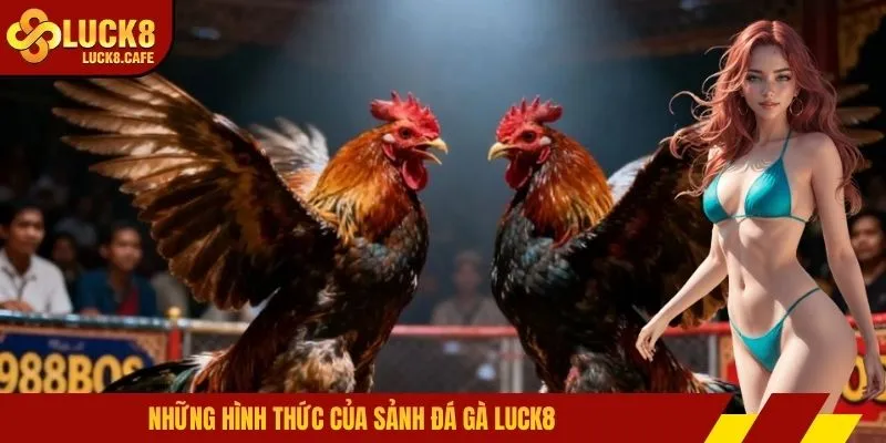 Những hình thức của sảnh đá gà LUCK8 