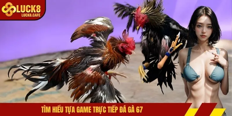 Tìm hiểu tựa game trực tiếp đá gà 67